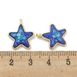 Kép 3/3 - Medál - csillag, gyanta Charms arany fóliával, valódi 18K aranyozott, kadmiummentes és ólommentes, közép kék, 17x14x5.5mm