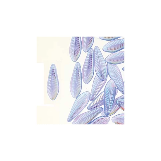 Lándzsa (szirom) Cseh préselt üveggyöngy - 5x16mm - BLUE OPL LASER FEATHER  - 28703F - 1 lyukú