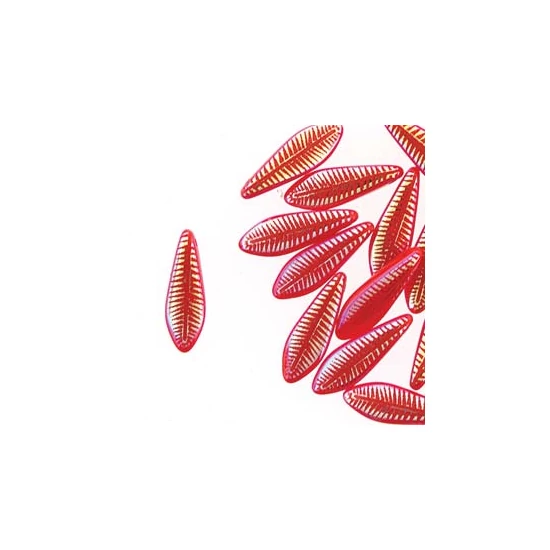 Lándzsa (szirom) Cseh préselt üveggyöngy - 5x16mm - RED LASER FEATHER - 28703F - 1 lyukú
